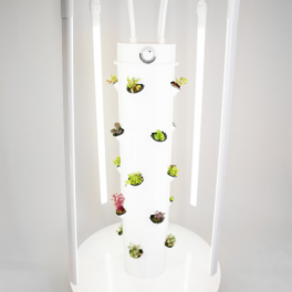 Lumières LED pour le Towergarden