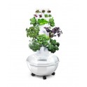 TowerGarden Home