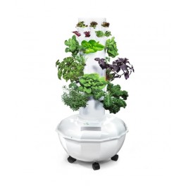 Towergarden indoor gardening