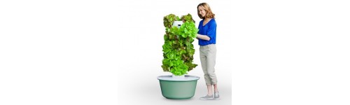 TowerGarden